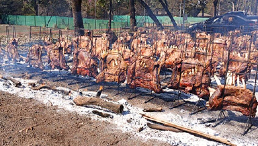 Solidariedade e Tradição: Confira como foi a 29ª Edição do Costelão no Chão
